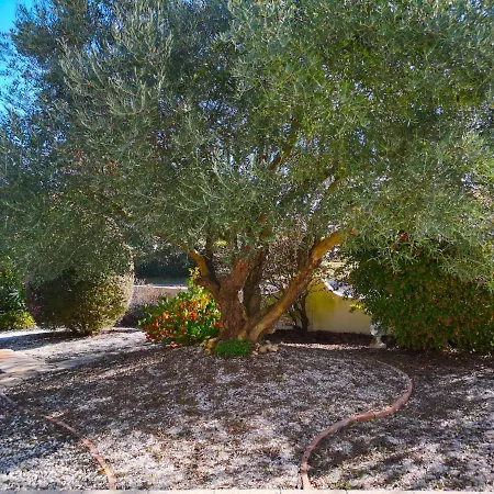 Holiday home Les Oliviers - Maison 6-8 Personnes